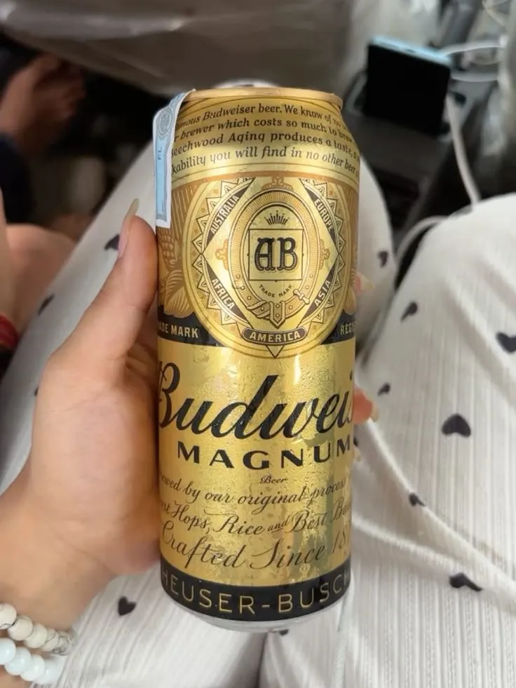 Budweiser Magnum Beer Price Can