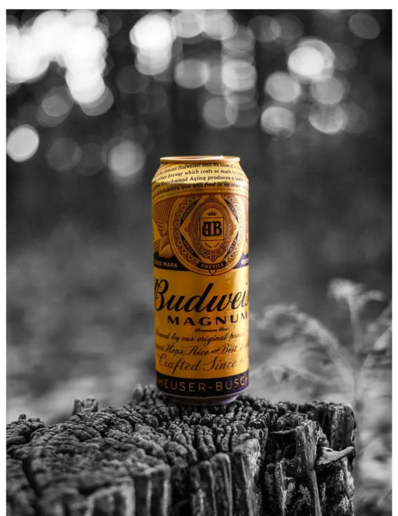 Budweiser Magnum Beer Price Kolkata