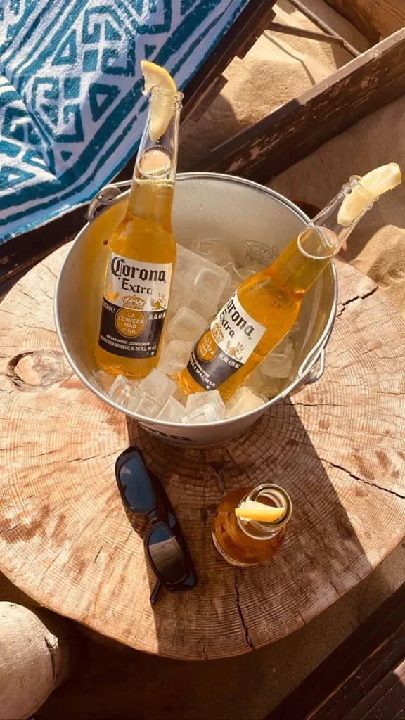 Corona Beer Price In Chandigarh